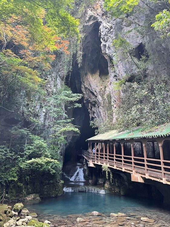 山口県を代表する観光スポットのひとつ「秋芳洞」です。 長い年月をかけてつくられた壮大な鍾乳洞を巡りながら、大自然の雄大さと悠久の時の流れを肌で感じることができました。