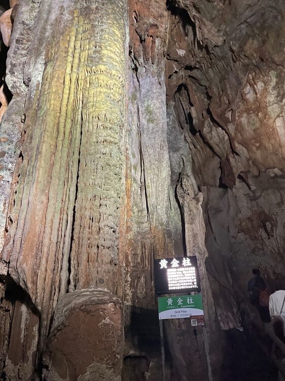 山口県を代表する観光スポットのひとつ「秋芳洞」です。 長い年月をかけてつくられた壮大な鍾乳洞を巡りながら、大自然の雄大さと悠久の時の流れを肌で感じることができました。